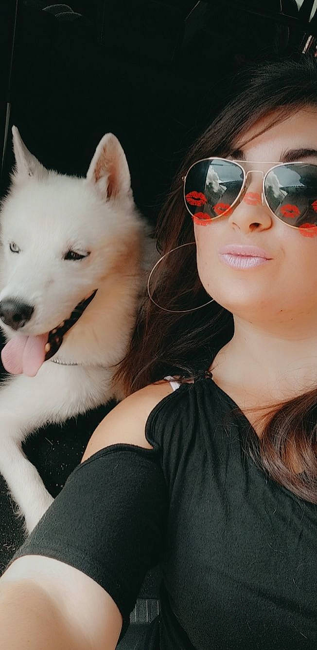 Benji a rejoint le concours — aidez-le/la à gagner de superbes lots ! carnivore, clothing, companion_dog, cool, dog, dog_breed, eye_glass_accessory, eyewear, fawn, flash_photography, fur, glasses, goggles, happy, organ, personal_protective_equipment, smile, street_fashion, sunglasses, vision_care