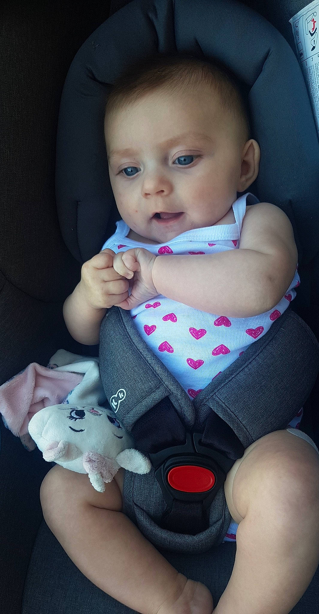 Léna participe au concours pour gagner de l'argent avec cette photo : arm, baby, baby_toddler_clothing, cheek, dress, eye, face, hand, human_body, joint, lip, mouth, neck, nose, outerwear, person, seat_belt, shoulder, skin, sleeve