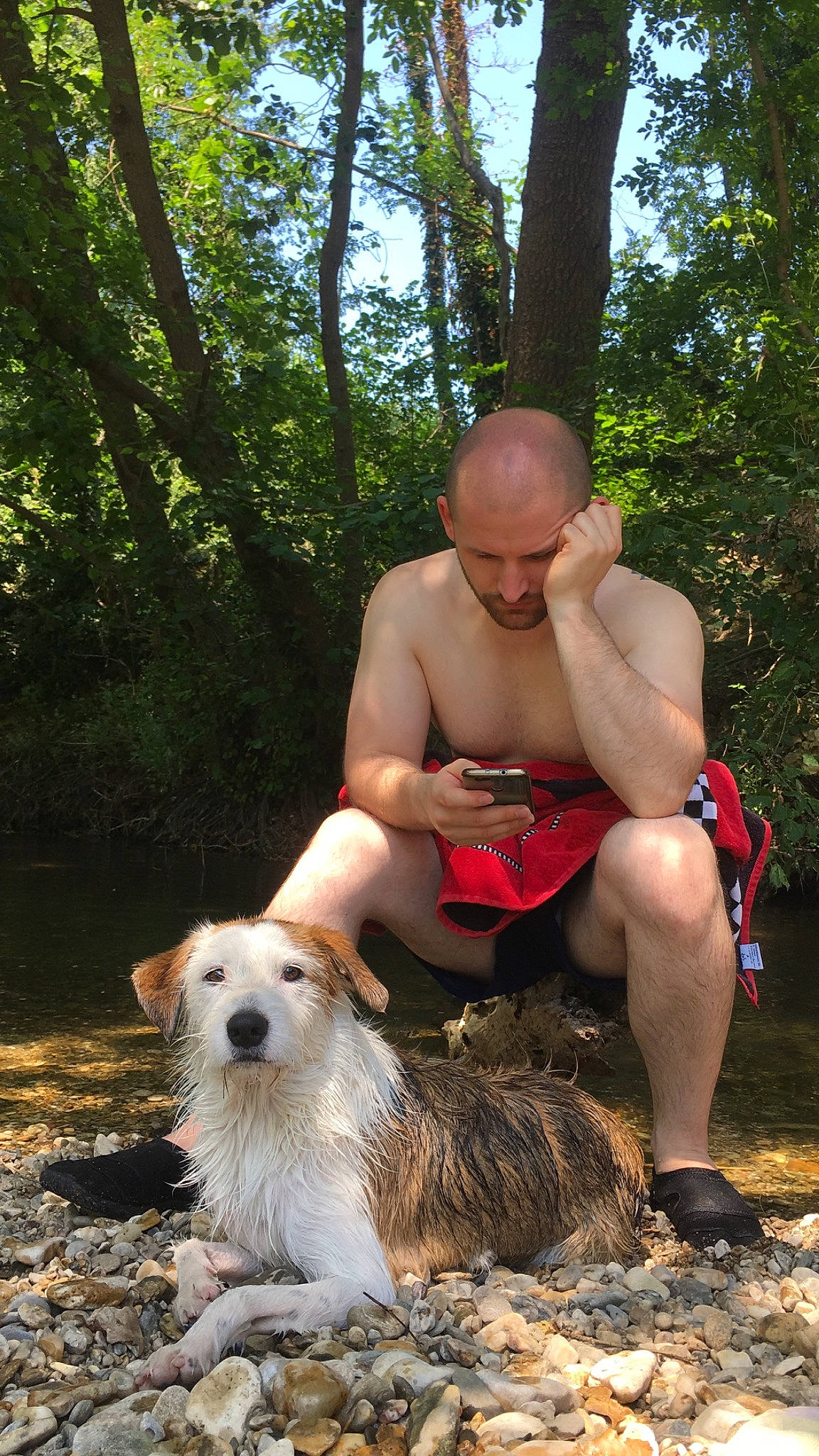 Ninho participe au concours pour gagner de l'argent avec cette photo : adventure, canidae, carnivore, dog, dog_breed, dog_hiking, fawn, recreation, sporting_group