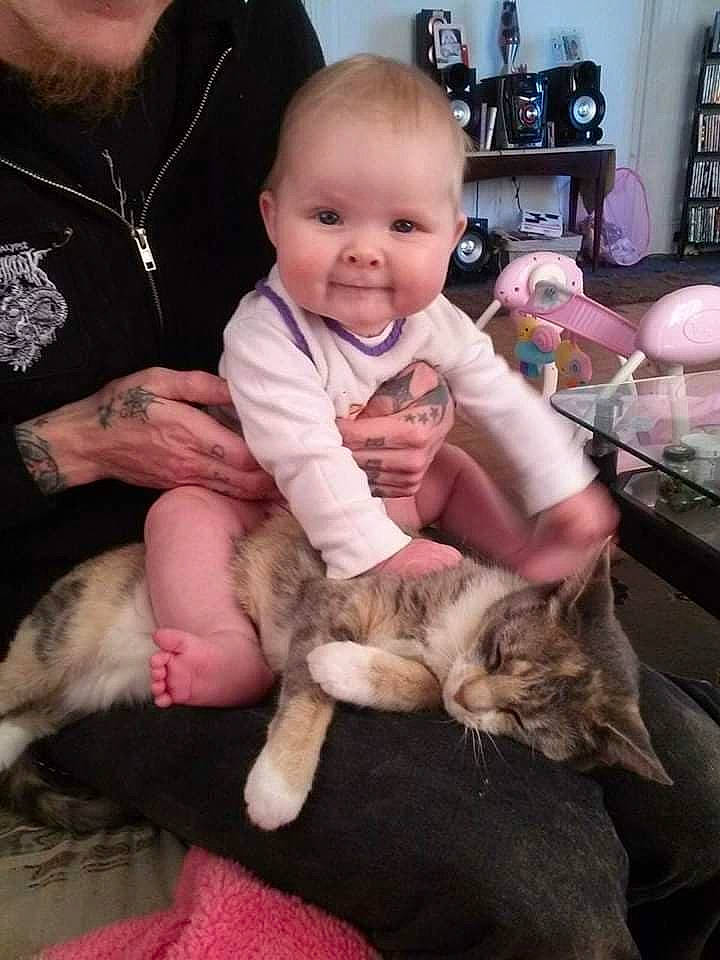 Sativa is registered to the contest to win money with this photo: canidae, carnivore, cat, child, companion_dog, dog_breed, ear, fawn, felidae, lap, puppy_love, skin, small_to_medium_sized_cats, toddler