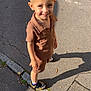boy, brown_clothing, casual, child, cracks, daytime, haircut, happy, outdoor, pavement, person, shadow, shirt, shoes, shorts, sidewalk, smiling, socks, standing, sunlight