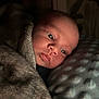Leo participe au concours pour gagner de l'argent avec cette photo : baby, face, blanket, soft_texture, close_up, infant, resting, portrait, child, indoors, cozy, warm_lighting, expression, wrapped, newborn, sleepy, cute, peaceful, skin, head