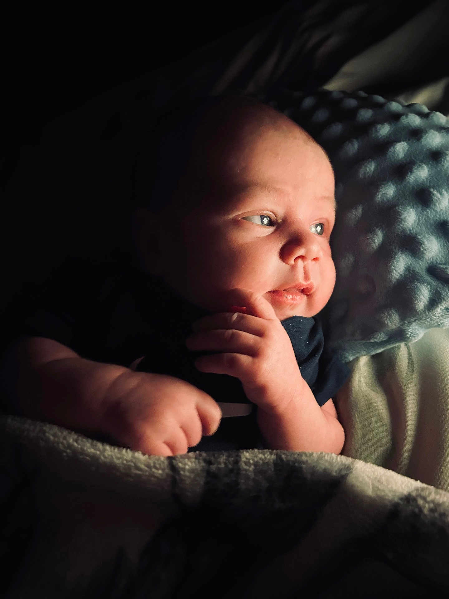 Leo a rejoint le concours — aidez-le/la à gagner de superbes lots ! baby, infant, face, hand, blanket, pillow, sleepwear, soft_light, portrait, closeup, newborn, cozy, resting, cute, skin, expression, indoors, peaceful, child, young