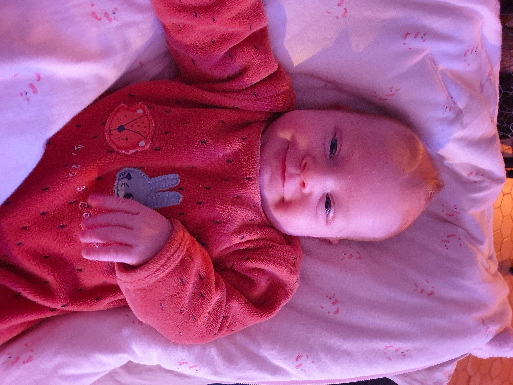 Diana a rejoint le concours — aidez-le/la à gagner de superbes lots ! baby, baby_toddler_clothing, cheek, facial_expression, happy, lip, magenta, mouth, nose, outerwear, person, pink, plant, purple, skin, sleeve, smile, textile, toddler, tree