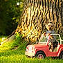 dog, toy_car, outdoor, grass, tree_trunk, pet, small_dog, striped_clothing, bow, sunlight, nature, cute, playful, vehicle, park, animal, summer, greenery, daytime, fun