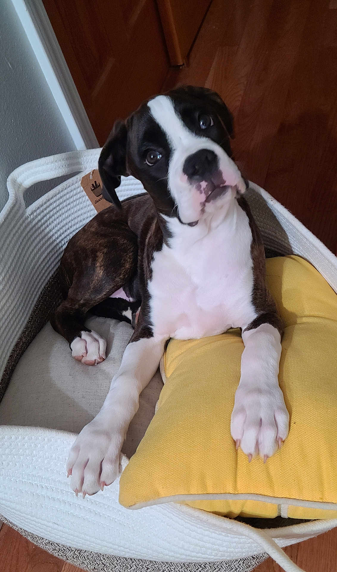 Lulu
