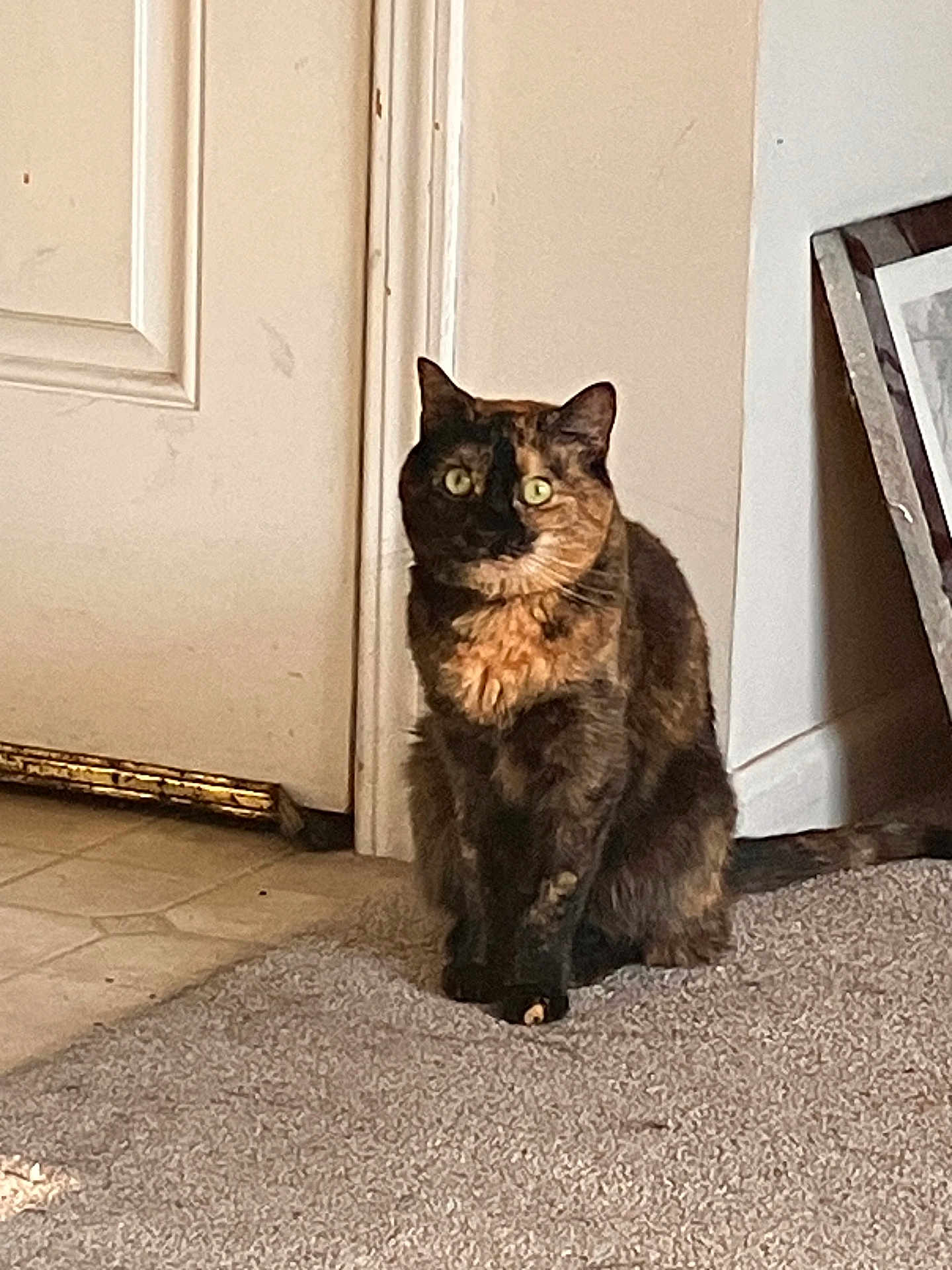 Maggie
