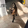 cat, tortoiseshell_cat, indoor, floor, tile_floor, sunlight, shadow, pet, animal, curious, walking, yellow_eyes, feline, mouth_open, container, household_item, litter_box, corner, wall, shadow_pattern