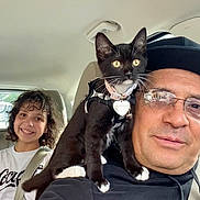 Winnie joined the competition — help win amazing prizes! black_and_white_cat, black_sweatshirt, car_interior, cat_collar, child, curly_hair, glasses, hat, heart_shaped_tag, indoor, kitten, man, pet, portrait, reflection, seatbelt, shoulder, smile, white_tshirt, window