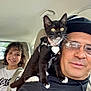 black_and_white_cat, black_sweatshirt, car_interior, cat_collar, child, curly_hair, glasses, hat, heart_shaped_tag, indoor, kitten, man, pet, portrait, reflection, seatbelt, shoulder, smile, white_tshirt, window