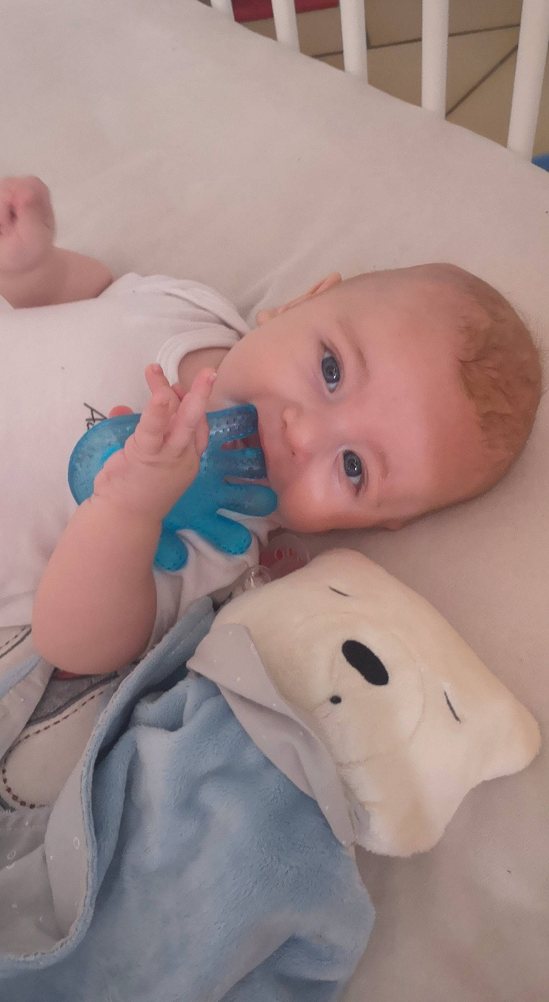 Leydaan participe au concours pour gagner de l'argent avec cette photo : baby, baby_products, cheek, child, face, head, lip, mouth, neck, nose, person, product, skin, toddler