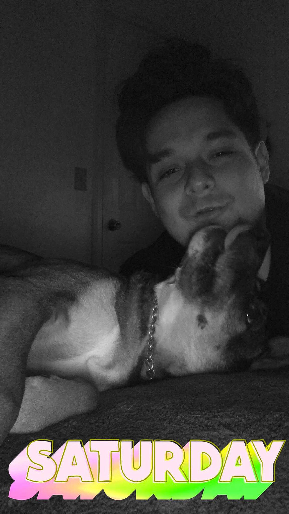 Pickle joined the competition — help win amazing prizes! american_pit_bull_terrier, canidae, carnivore, dog, dog_breed, muscle, non_sporting_group, nose, photo_caption, photography, puppy