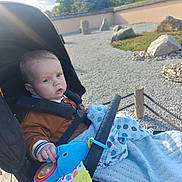 Alfie joined the competition — help win amazing prizes! baby, stroller, toy, blanket, outdoor, child, sunlight, grass, rocks, garden, nature, blue_eyes, clothing, hand, face, person, portrait, seatbelt, fabric, peaceful