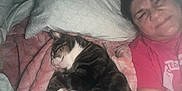 Pepito joined the competition — help win amazing prizes! animal, baby, bed, bedroom, blanket, cat, clothing, cushion, face, furniture, head, homedecor, indoors, person, pet, photography, portrait, room, sleeping, t_shirt