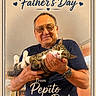 Pepito joined the competition — help win amazing prizes! background, cat, celebration, decor, furniture, glasses, happy_fathers_day, heart, holding, indoor, male, man, pet, picture_frame, portrait, ring, smile, tabby_cat, tshirt, watch