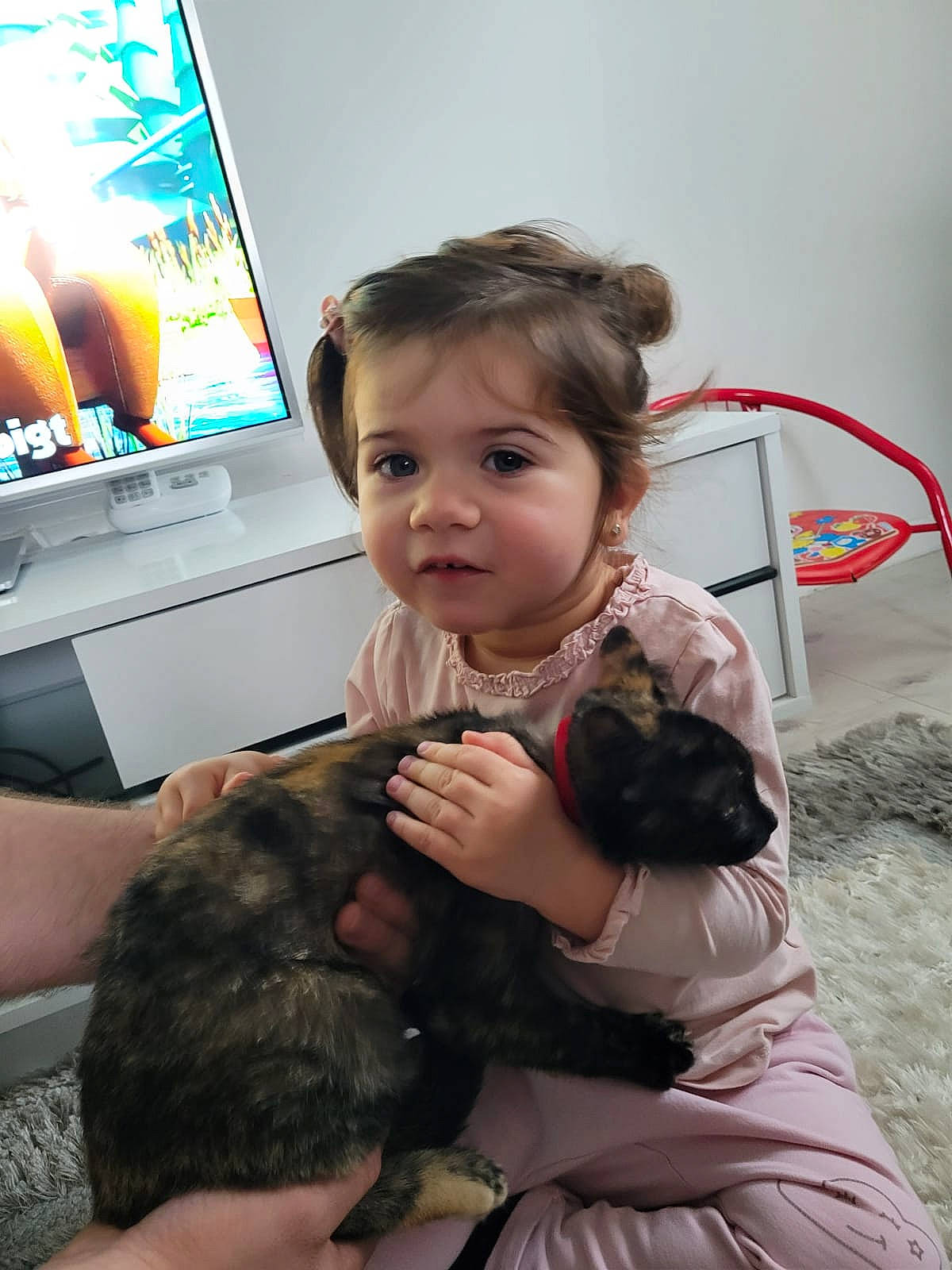 Sara a rejoint le concours — aidez-le/la à gagner de superbes lots ! child, comfort, companion_dog, computer, computer_keyboard, computer_monitor, desk, display_device, dog_breed, fun, gesture, happy, input_device, output_device, peripheral, person, personal_computer, sitting, skin, toddler