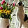 Moomin
