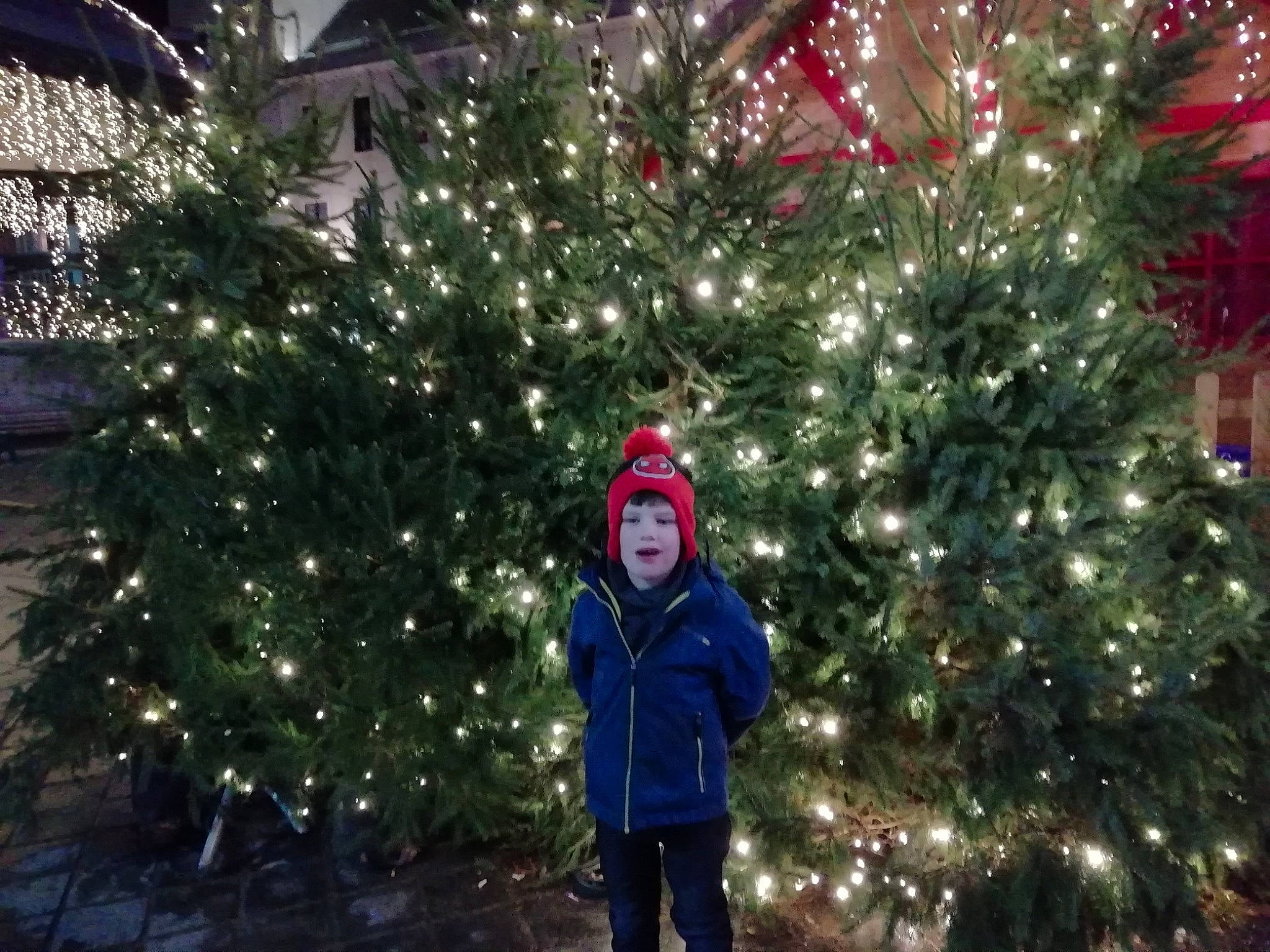 Mathys a rejoint le concours — aidez-le/la à gagner de superbes lots ! branch, christmas, christmas_decoration, christmas_lights, christmas_ornament, christmas_tree, colorado_spruce, conifer, evergreen, fir, interior_design, leaf, person, pine, pine_family, plant, snow, spruce, tree, winter