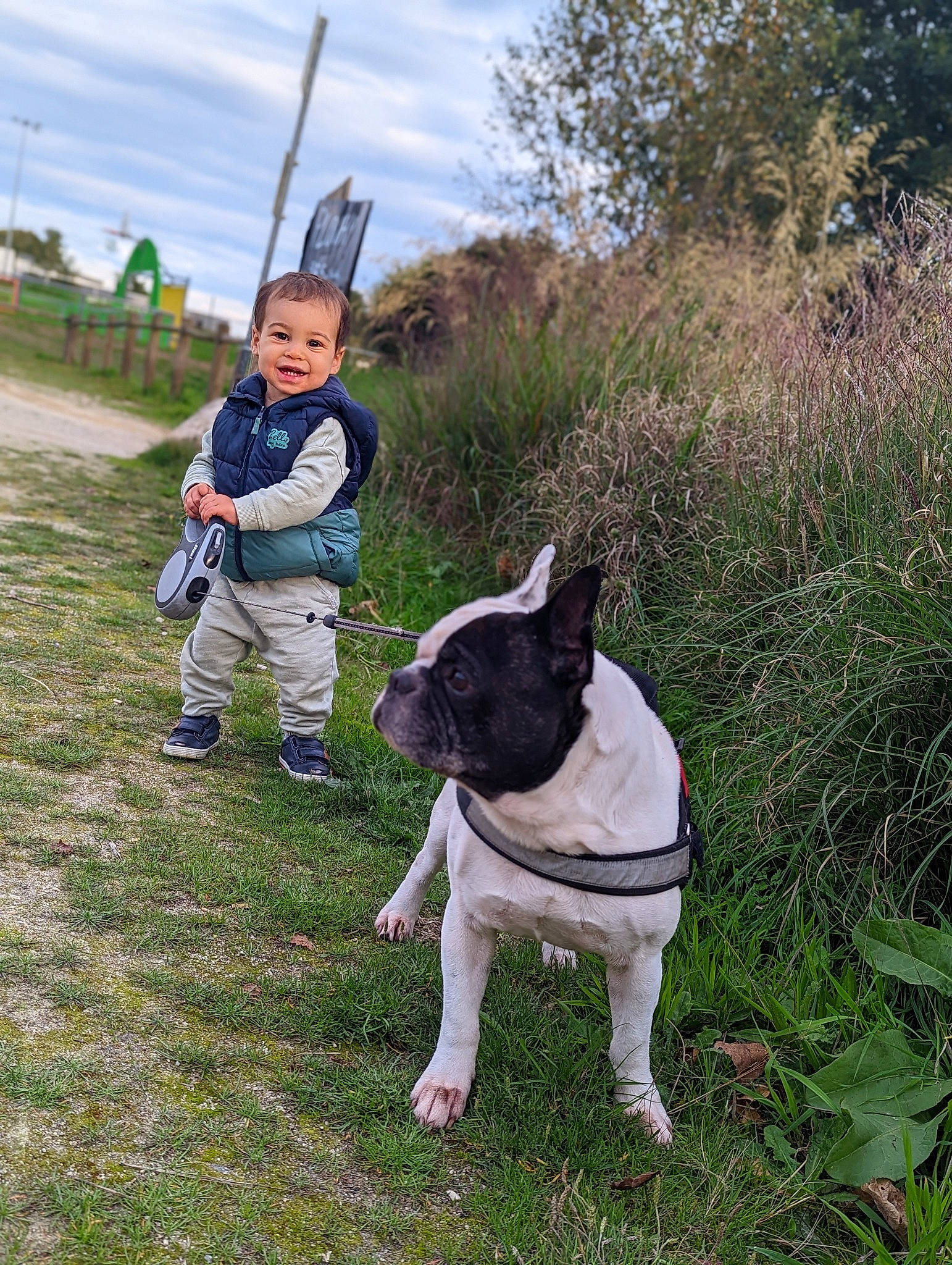 Eren a rejoint le concours — aidez-le/la à gagner de superbes lots ! canidae, carnivore, cloud, collar, companion_dog, dog, dog_breed, fawn, grass, grassland, hat, joy, person, plant, recreation, sky, soil, sporting_group, tail, toddler