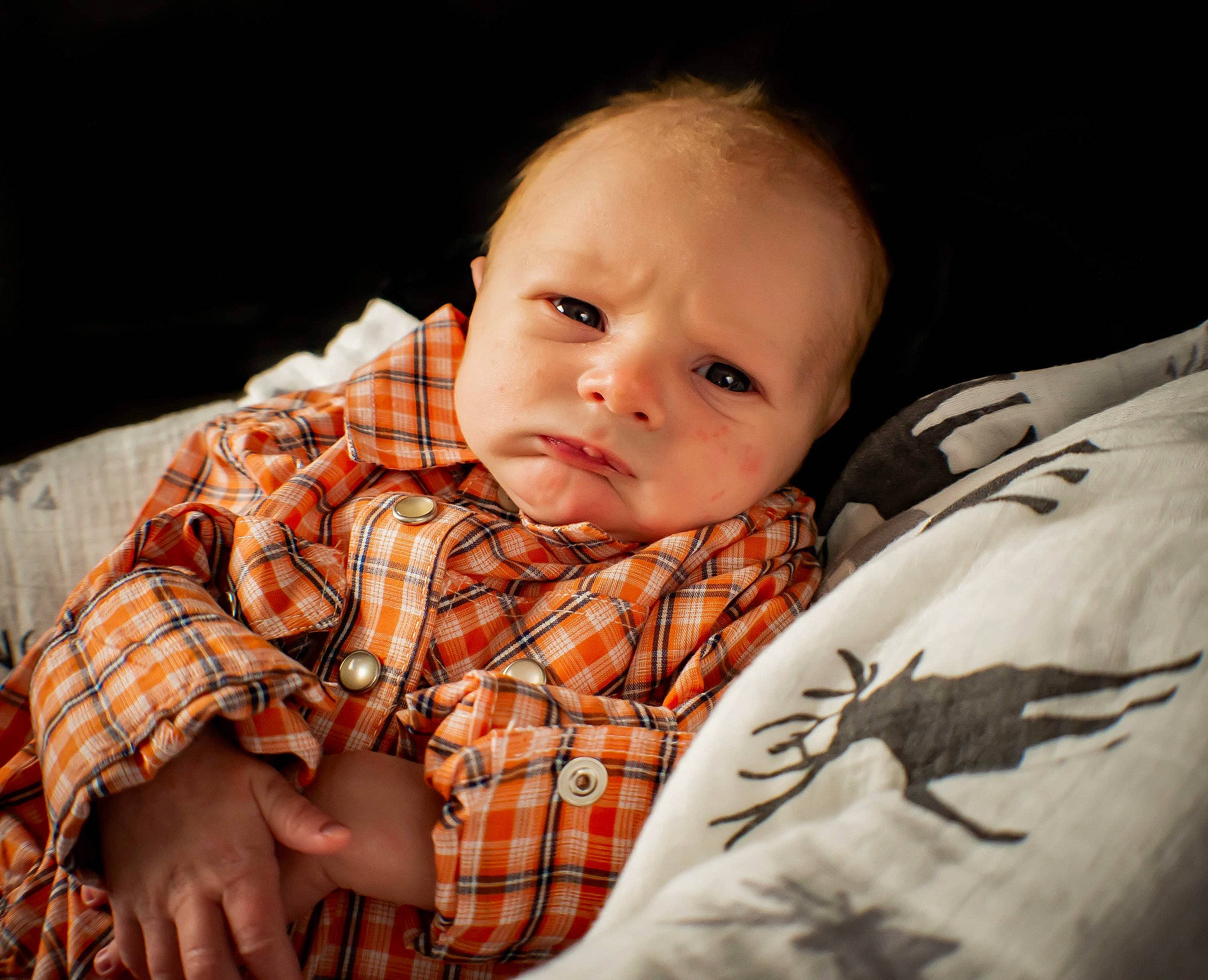 Cooper joined the competition — help win amazing prizes! baby, baby_toddler_clothing, carmine, cheek, child, collar, comfort, flash_photography, happy, iris, linens, nose, pattern, person, plaid, room, sitting, skin, sleeve, tartan