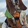 animal, bandana, basset_hound, canine, cloudy, cute, dog, ears, expression, fur, harness, mammal, nature, outdoor, pavement, pet, portrait, sitting, sky, wrinkles
