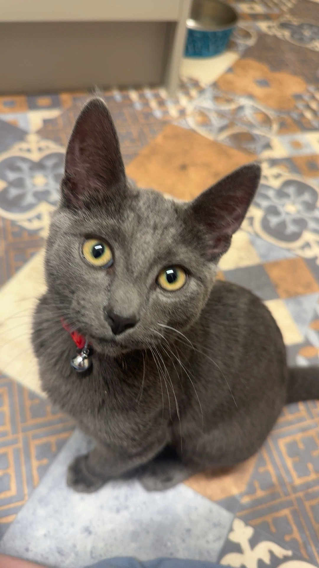 Binx