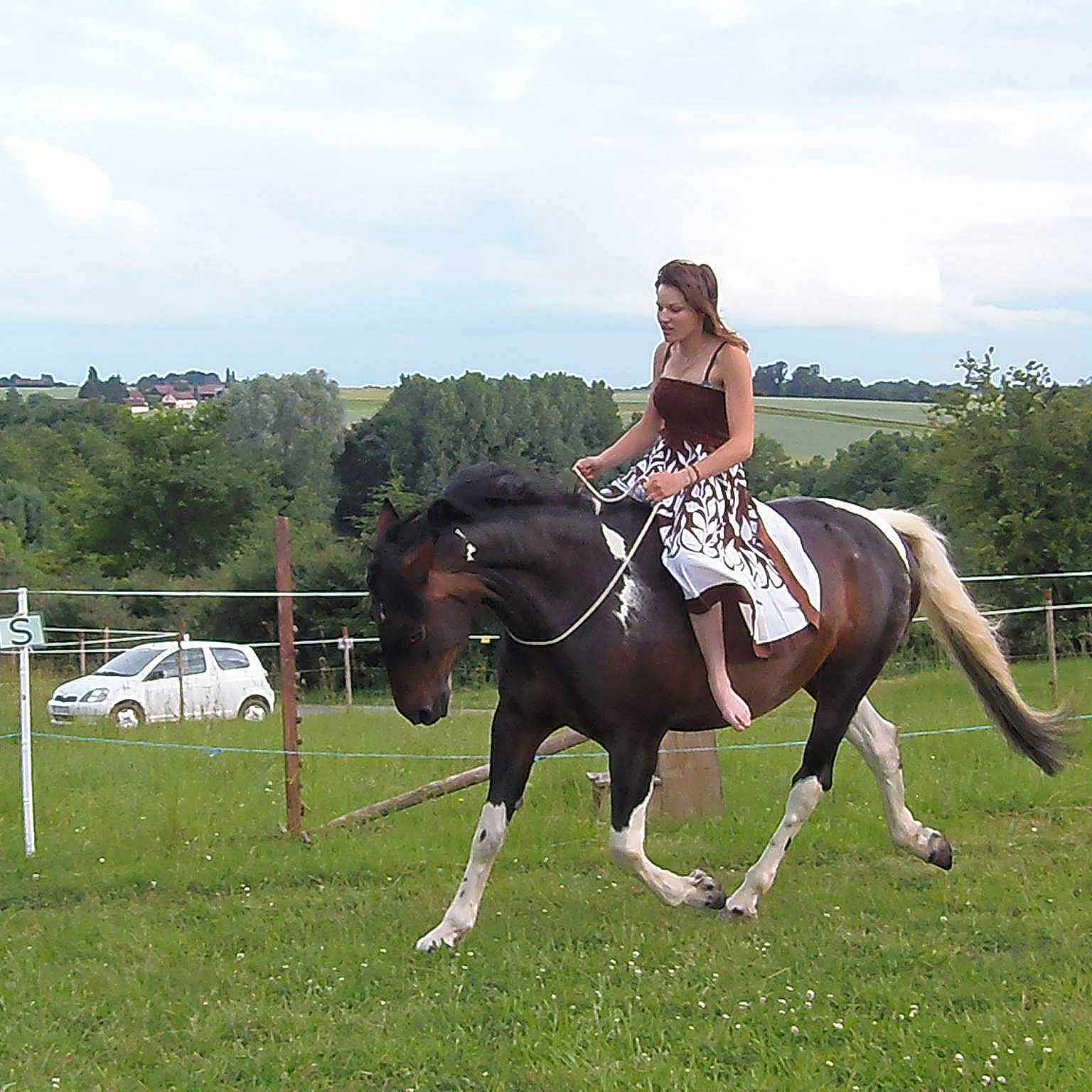 Quesada