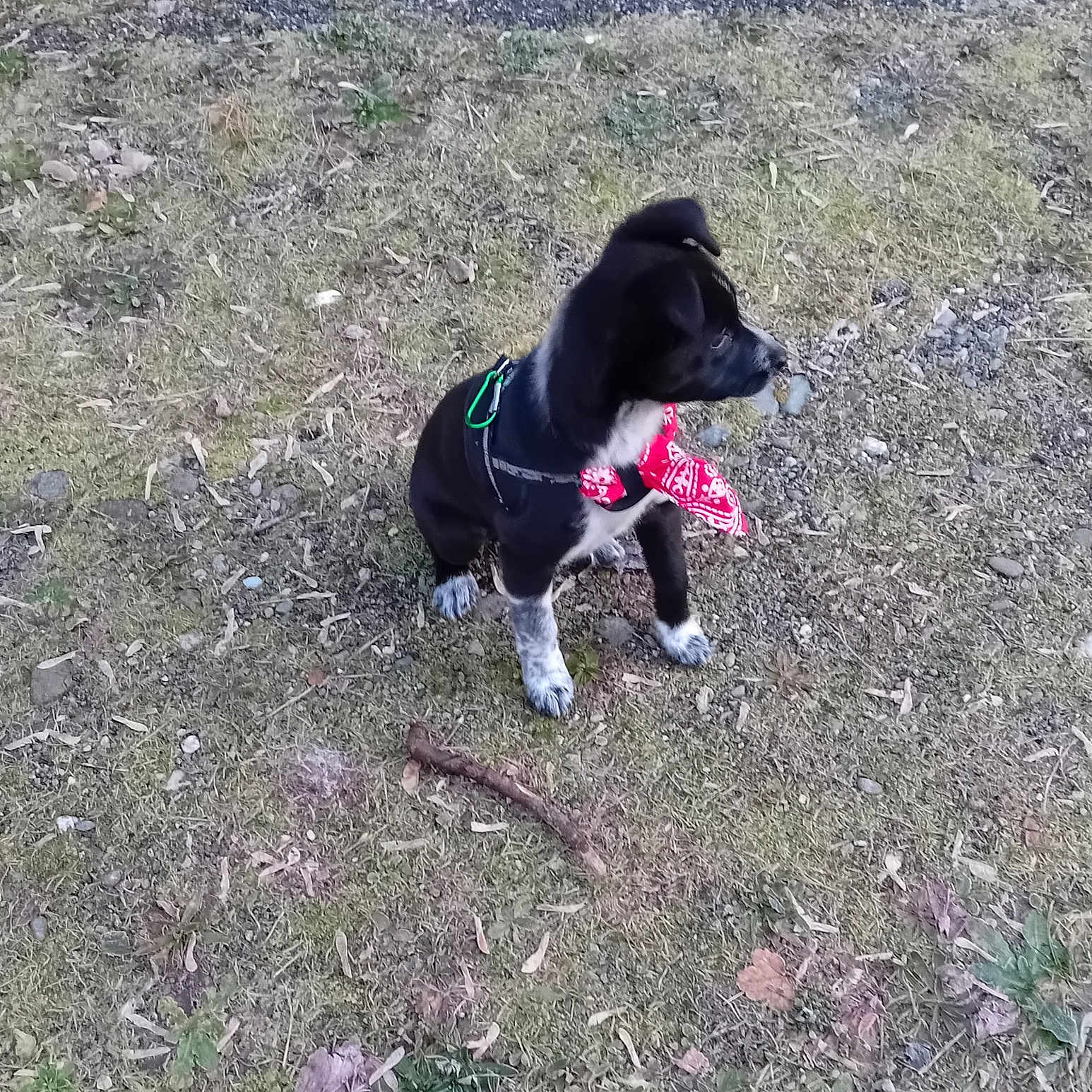 Ruby