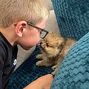 Clochette a rejoint le concours — aidez-le/la à gagner de superbes lots ! boy, glasses, puppy, dog, couch, cushion, blue, furniture, indoor, child, pet, cute, fluffy, playing, face, closeup, interaction, love, soft, young