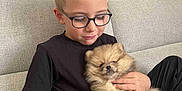 Clochette a rejoint le concours — aidez-le/la à gagner de superbes lots ! boy, child, glasses, puppy, dog, pomeranian, couch, indoor, black_clothing, light_hair, pet, cute, fluffy, holding, seated, relaxed, home, cozy, affection, smiling
