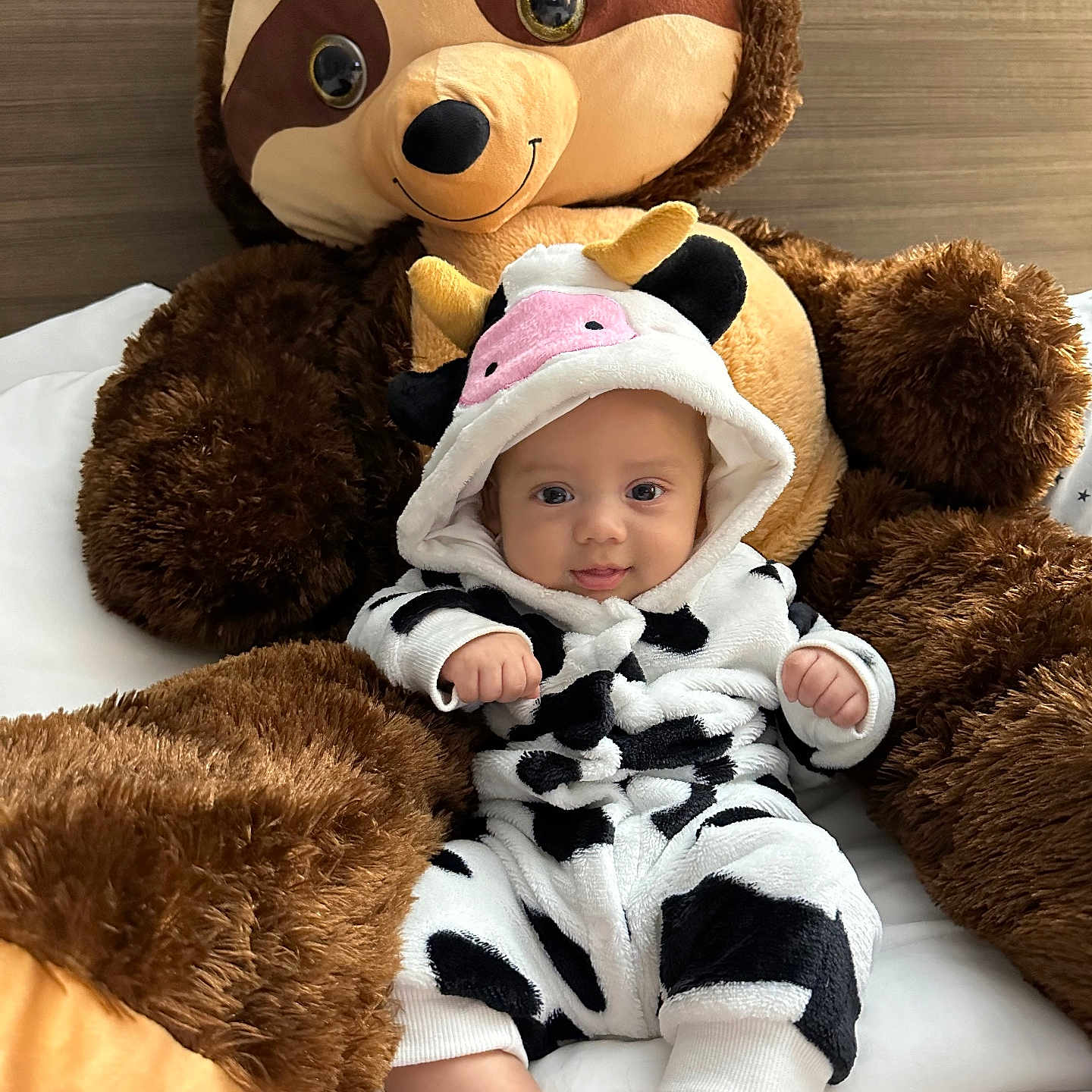 Esai joined the competition — help win amazing prizes! baby, blanket, bonnet, cap, clothing, couch, cushion, face, furniture, happy, hat, head, homedecor, newborn, person, photography, plush, portrait, teddybear, toy