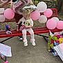 toddler, child, balloons, bench, gifts, outdoor, park, picnic_table, tree, concrete, pink, white, silver_balloon, number_2_balloon, person, shoe, can, gift_bags, clothing, celebration