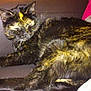 Izia participe au concours pour gagner de l'argent avec cette photo :