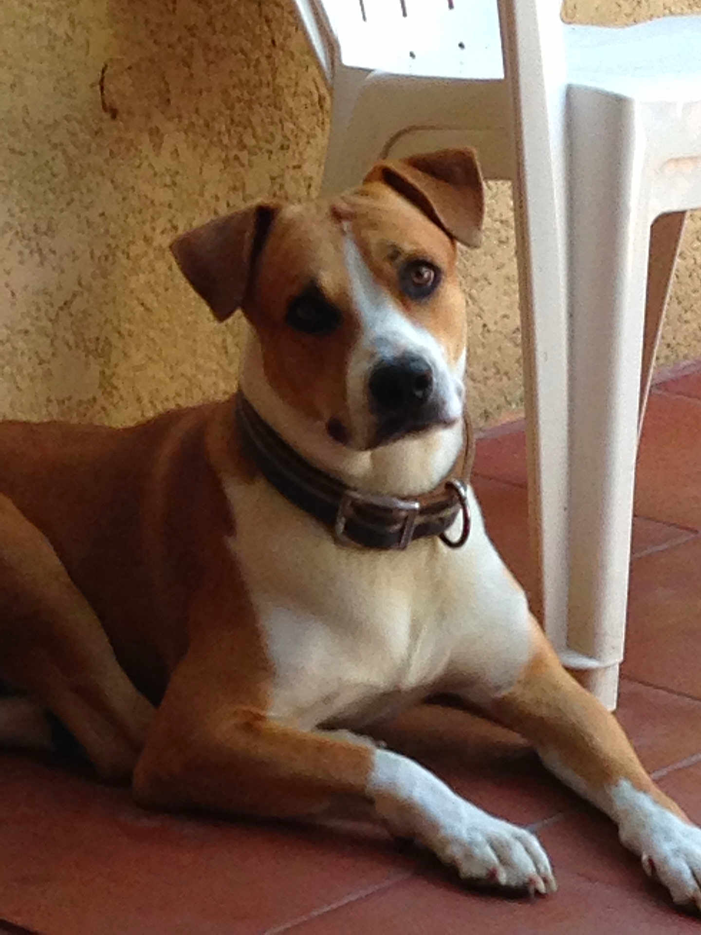 Bouba