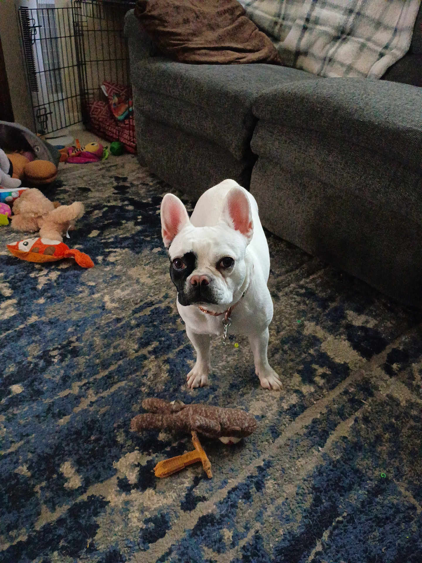 Lucy