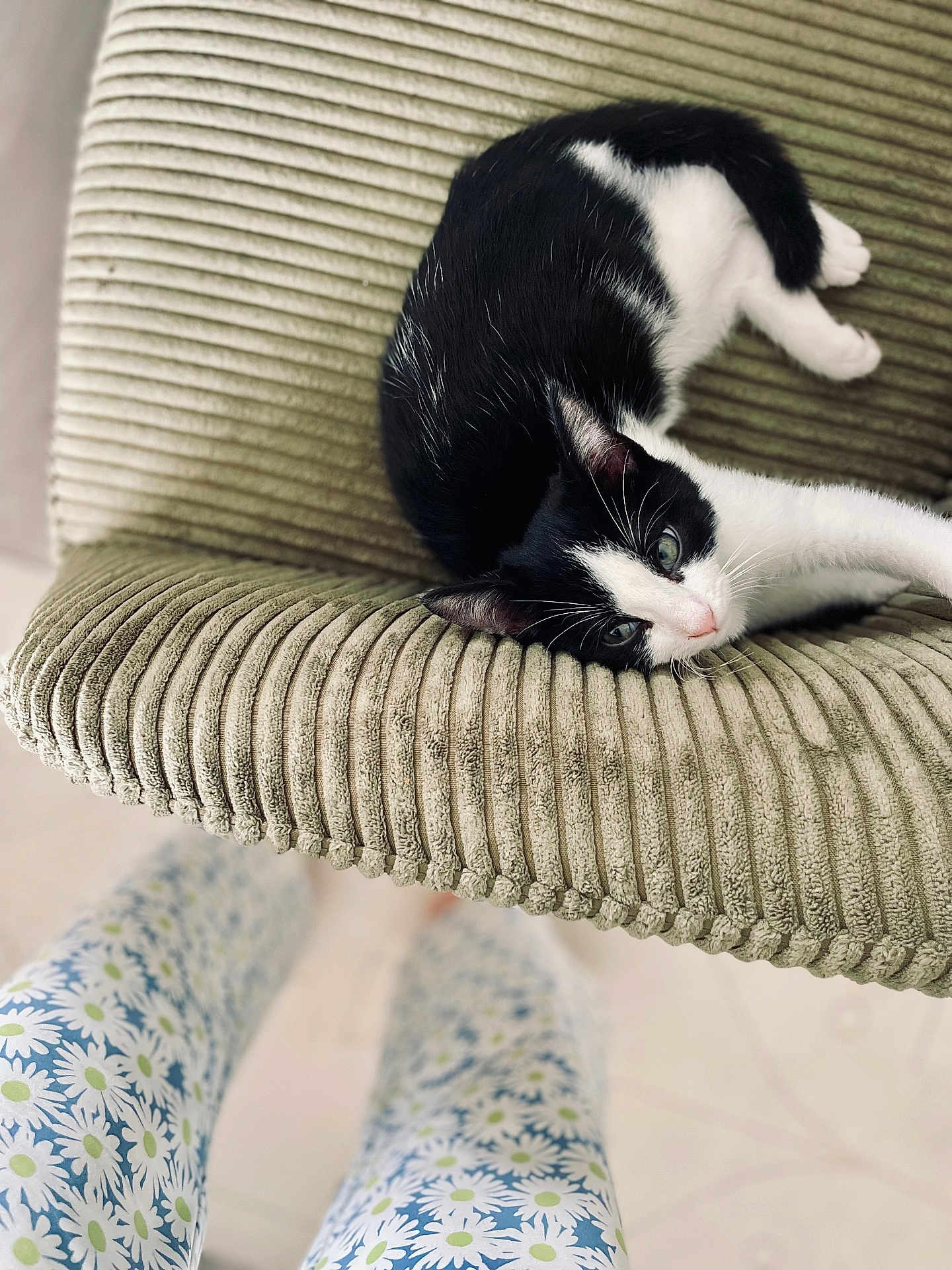 Aïko