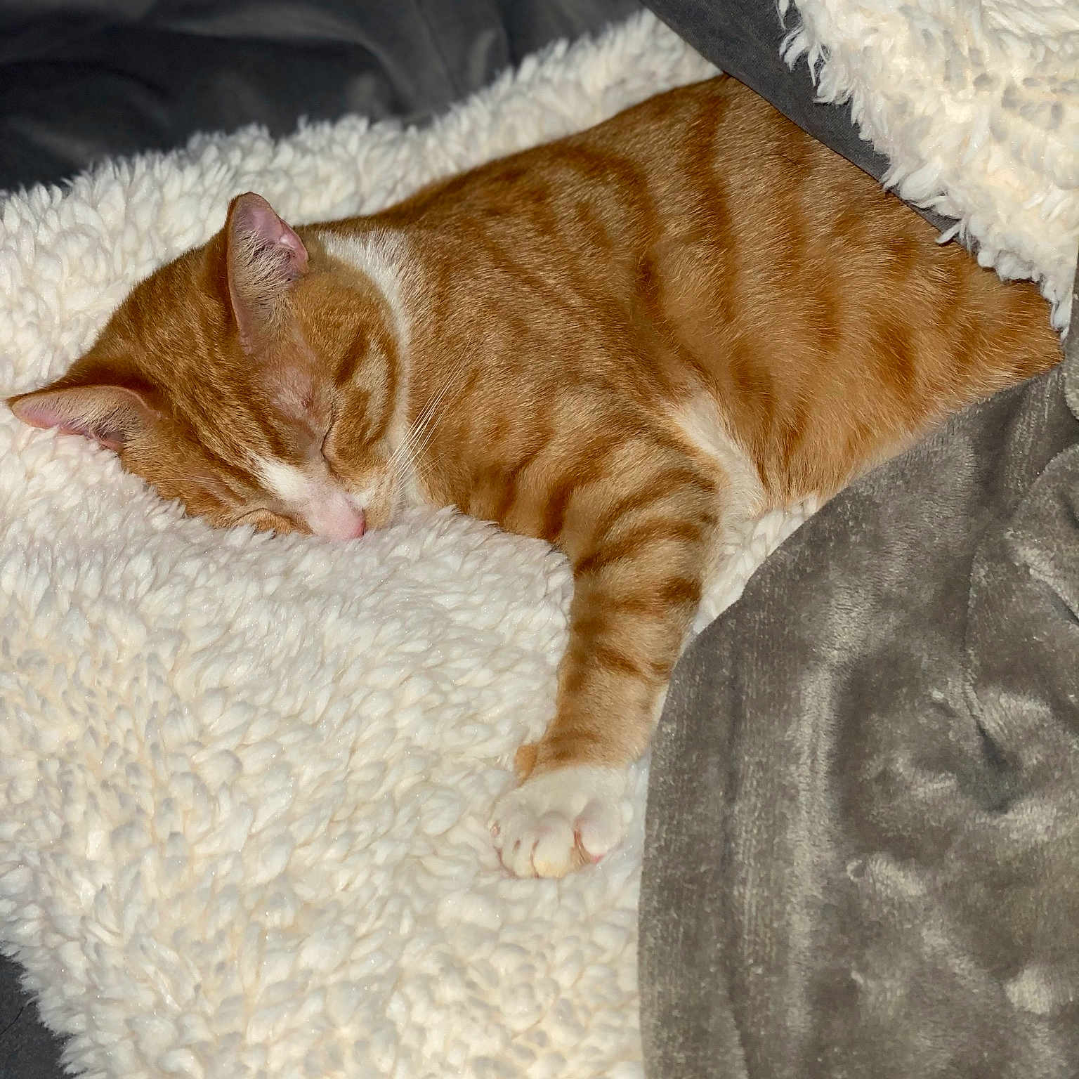 Garfield