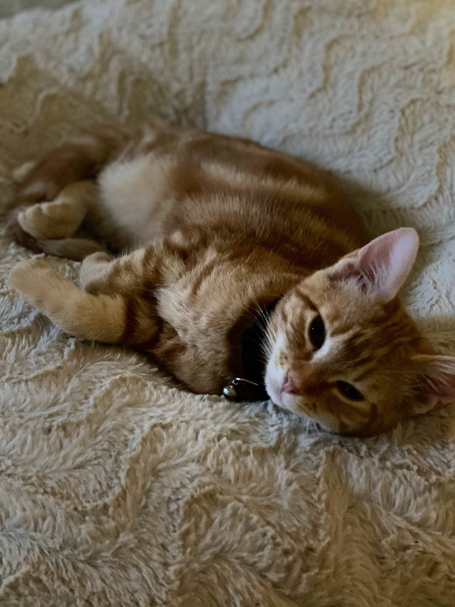 Mittens
