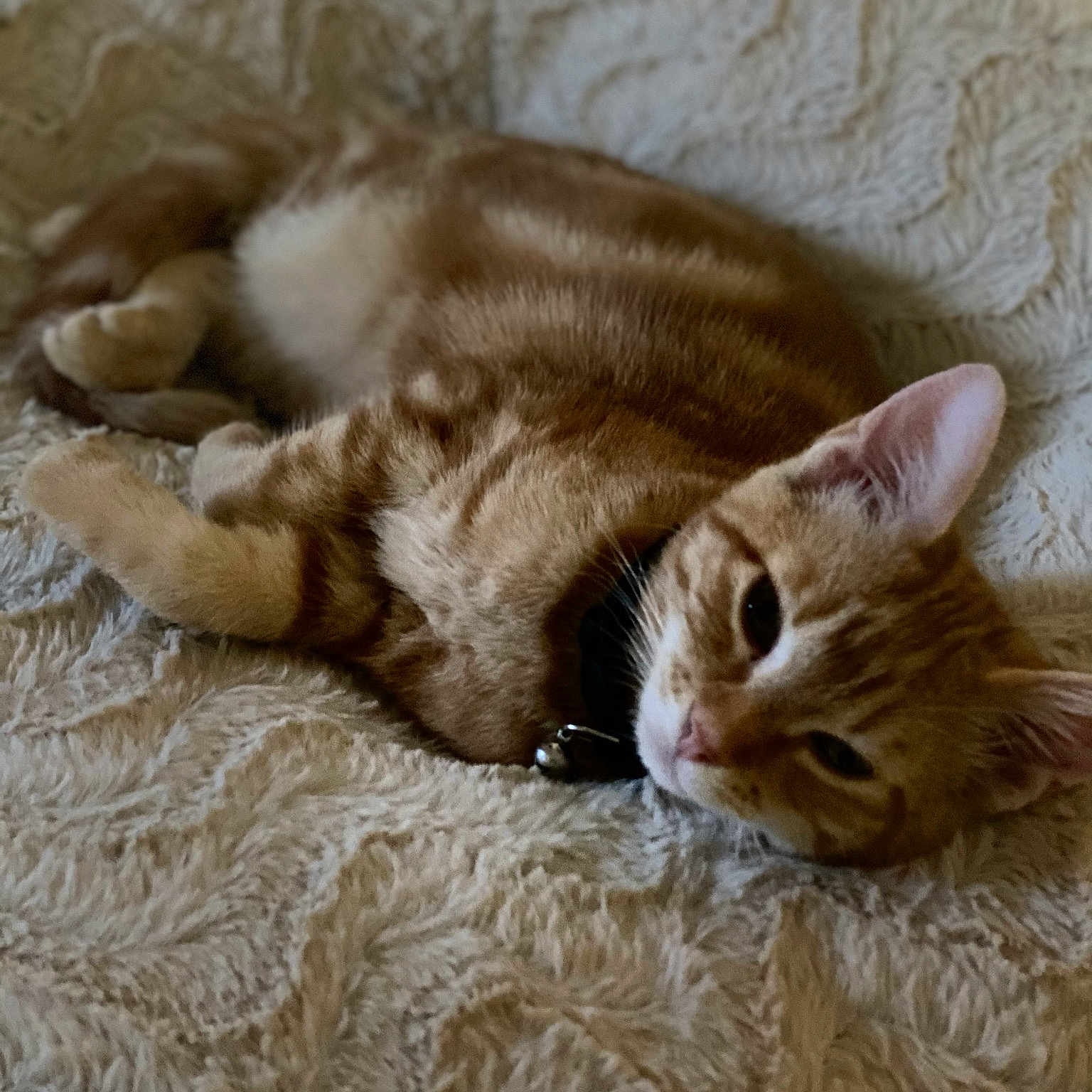 Mittens