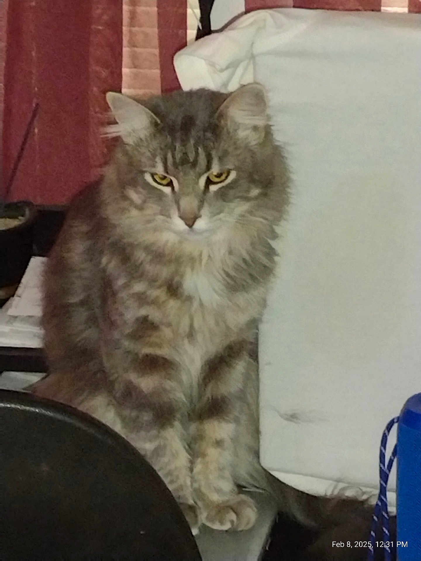 Smokey
