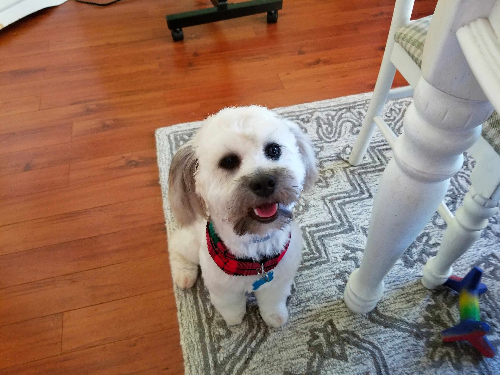 Jax