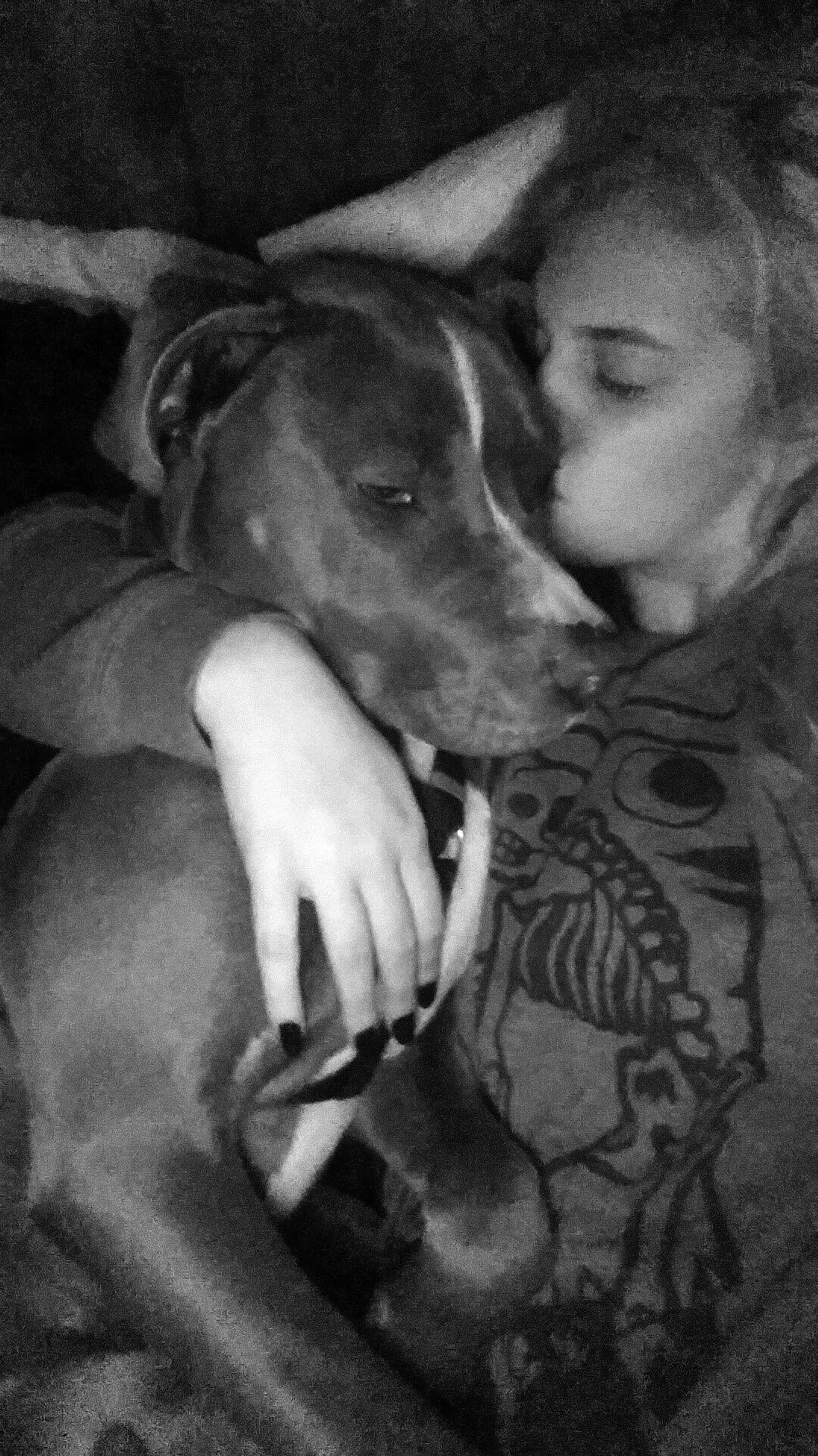 Lucien is registered to the contest to win money with this photo: canidae, carnivore, dog, dog_breed, ear, italian_greyhound, person, whippet