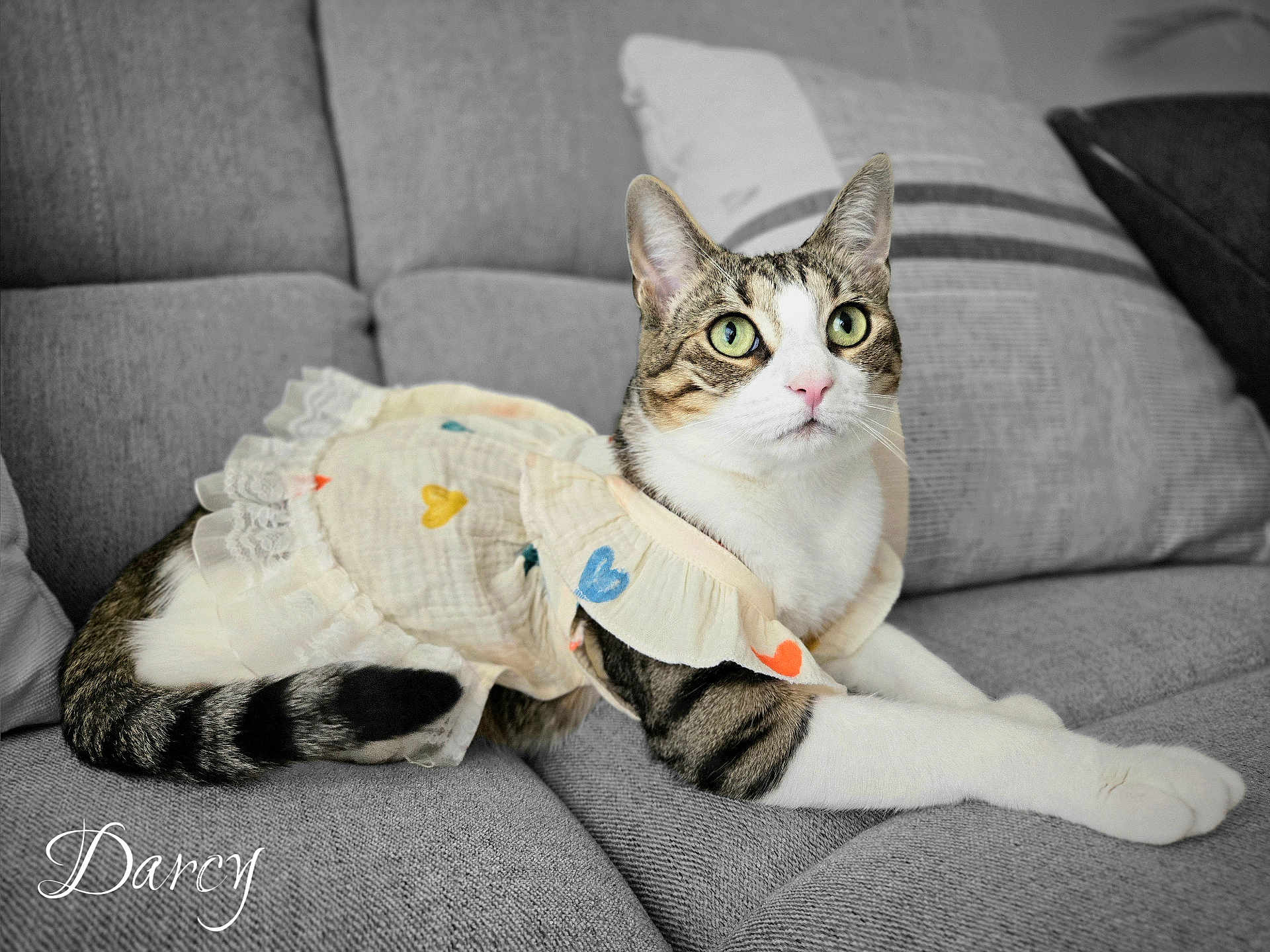 Darcy