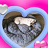 ai_generated, animal, arrow, blue_border, cute, digital_edit, dog, dog_bed, gray_blanket, heart_frame, heart_graphic, indoor, lying_down, pet, pink_background, relaxed, shaggy_bed, sleeping, tile_floor, white_dog