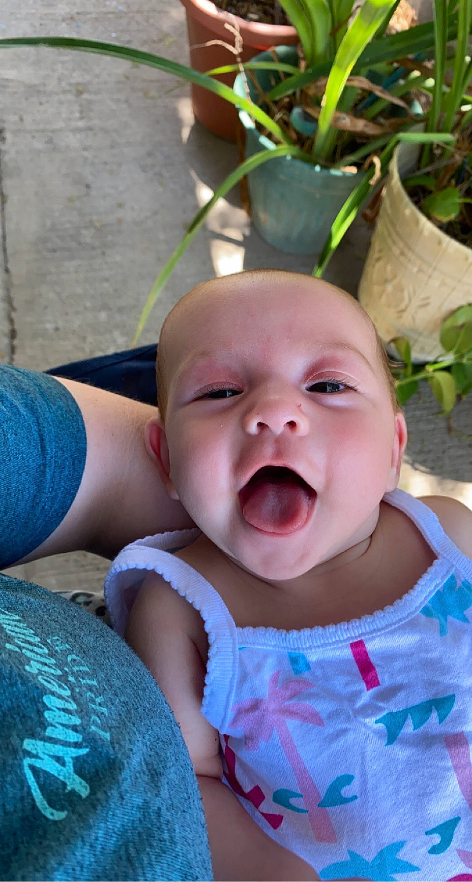 Vivianna is registered to the contest to win money with this photo: baby, baby_toddler_clothing, blue, cheek, chin, dress, eye, face, flowerpot, grass, green, happy, head, houseplant, iris, mouth, nose, person, plant, skin