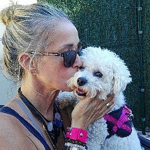 Hamsa participe au concours pour gagner de l'argent avec cette photo : bichon_frise, bolognese, bolonka, canidae, carnivore, companion_dog, dog, dog_breed, havanese, maltepoo, maltese, mammal, miniature_poodle, poodle, poodle_crossbreed, puppy_love, schnoodle, toy_dog, toy_poodle, vertebrate
