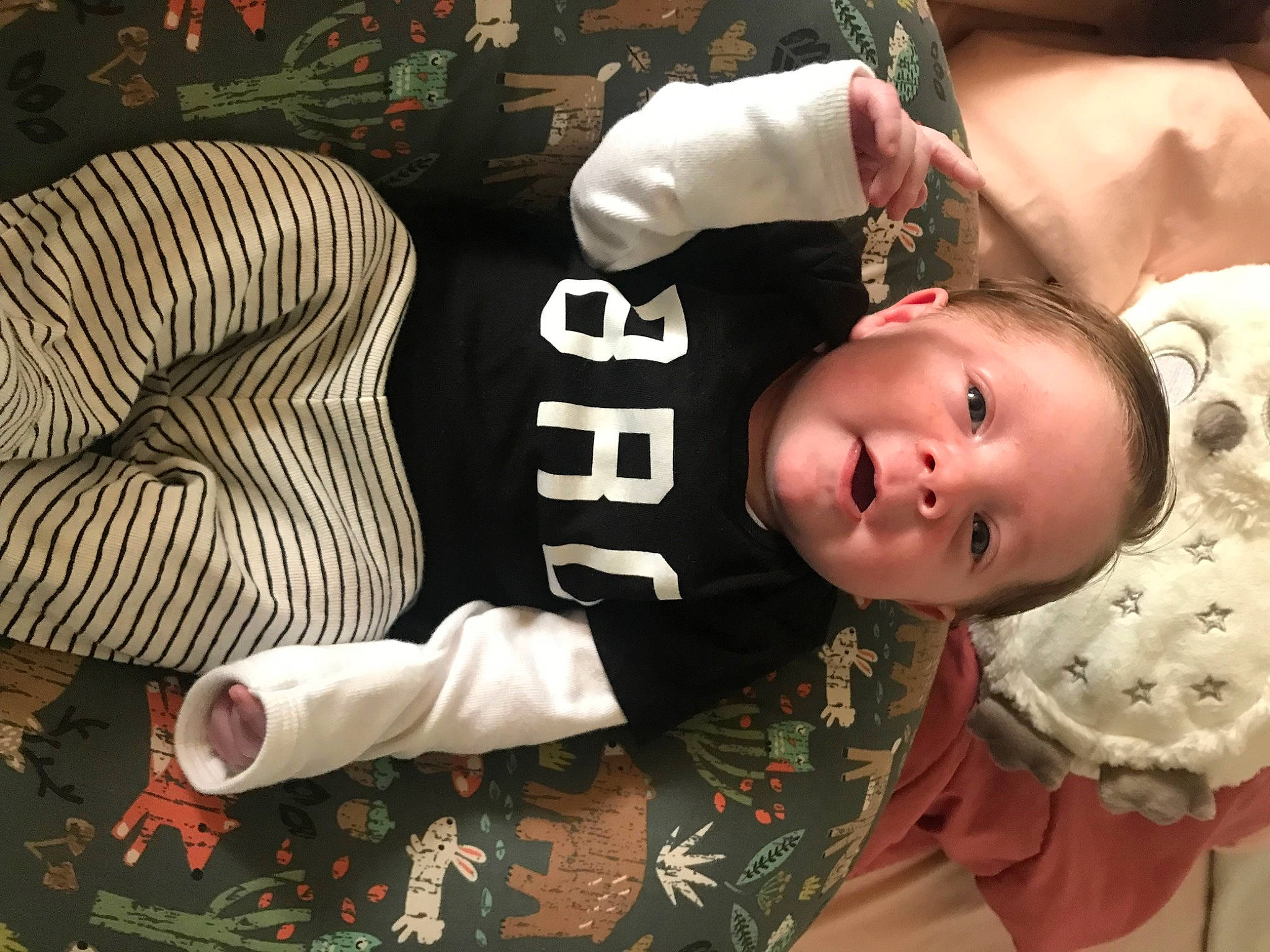 Bodhi is registered to the contest to win money with this photo: baby, baby_products, baby_toddler_clothing, cheek, child, comfort, fur, grass, happy, hat, knee, lap, pattern, person, plant, sitting, sleeve, smile, thigh, toddler