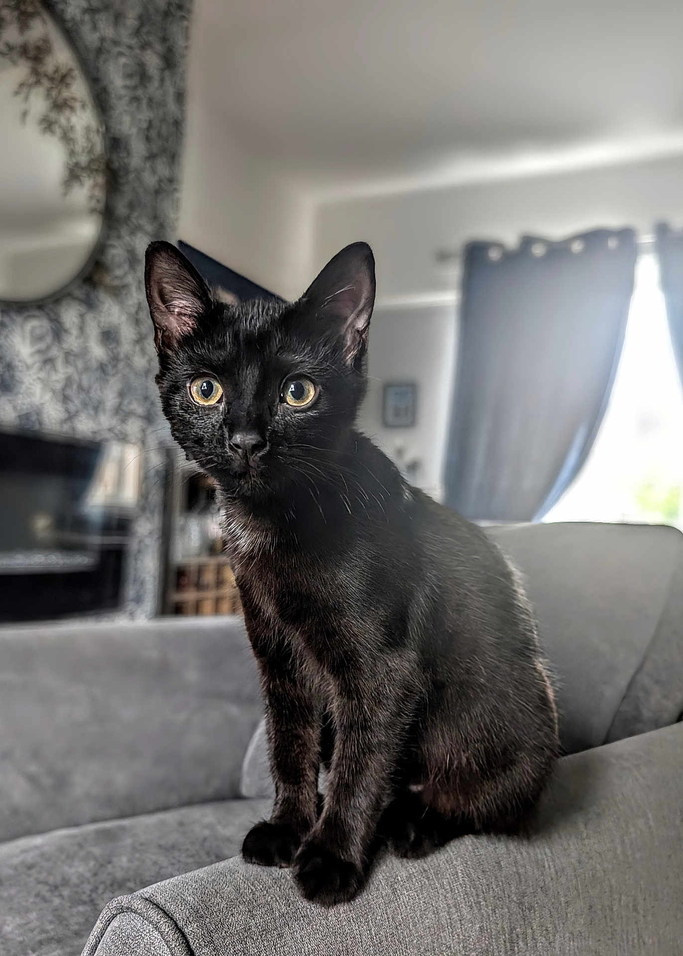 Rosie