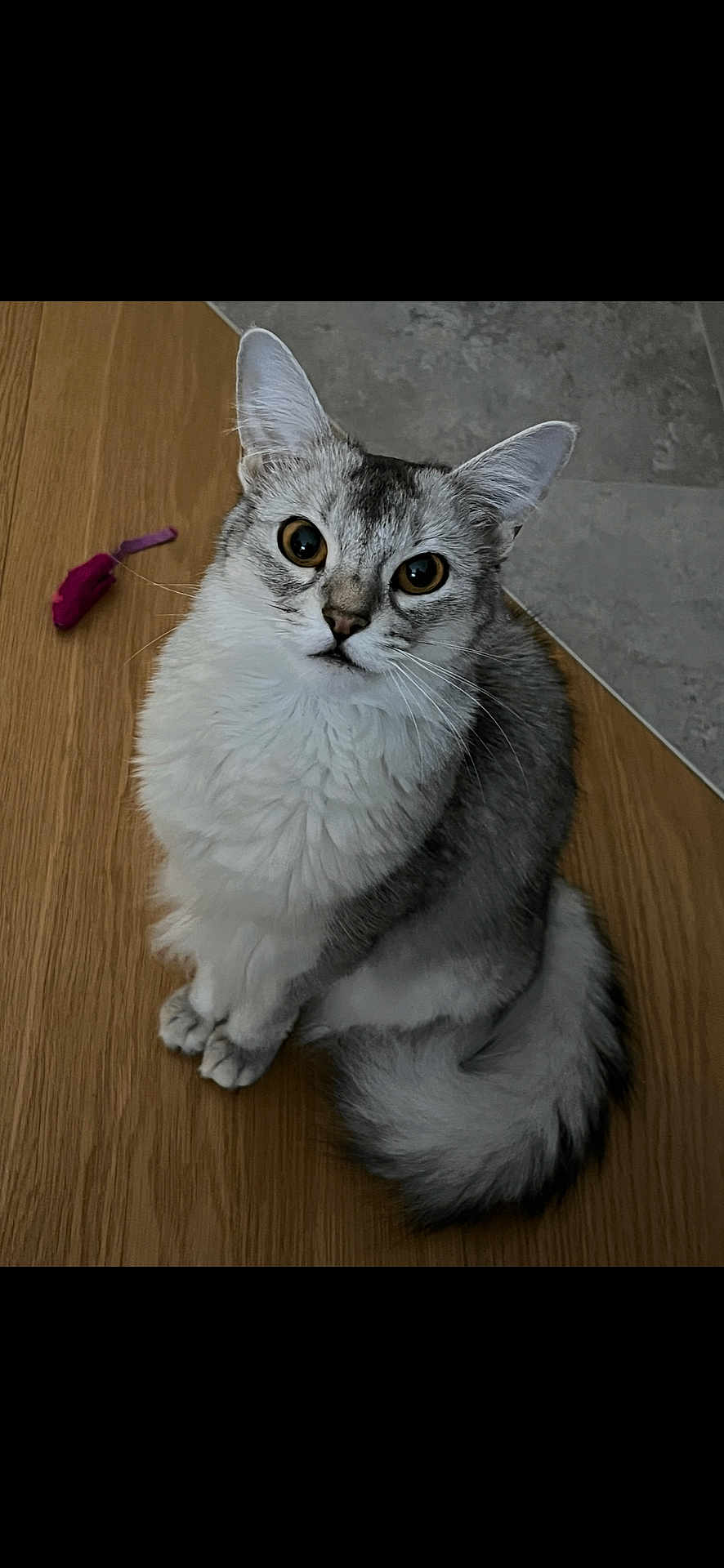 Freyja
