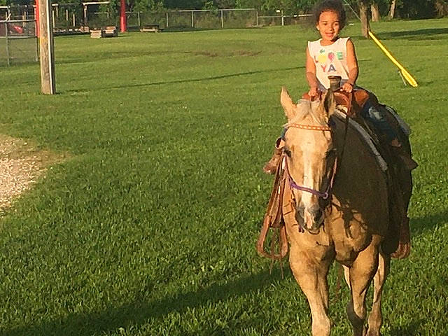 Zailey is registered to the contest to win money with this photo: animal_sports, bridle, equestrianism, grass, halter, horse, horse_supplies, horse_tack, joy, mammal, mane, mare, mustang_horse, pack_animal, person, recreation, rein, saddle, stallion, trail_riding